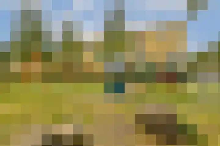 Het Oerd 61 Hoofddorp thumbnail 19
