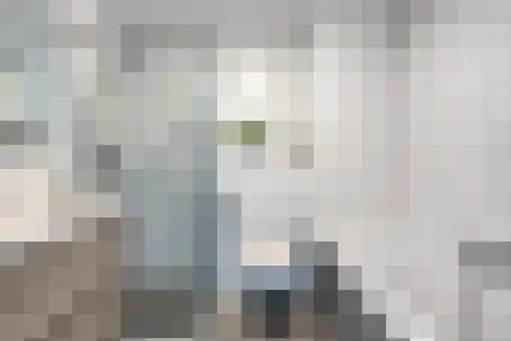 Het Oerd 75 Hoofddorp thumbnail 19