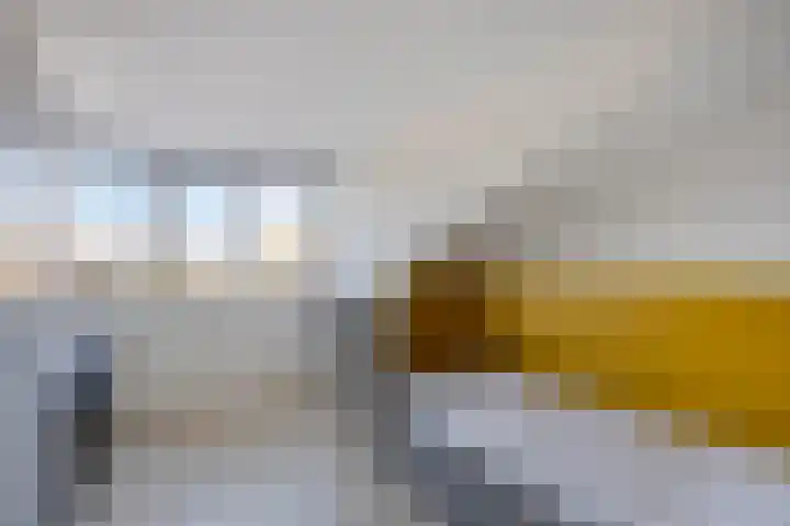 Het Oerd 75 Hoofddorp thumbnail 26