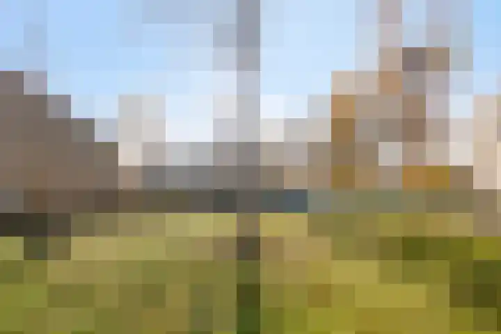Het Oerd 75 Hoofddorp thumbnail 34