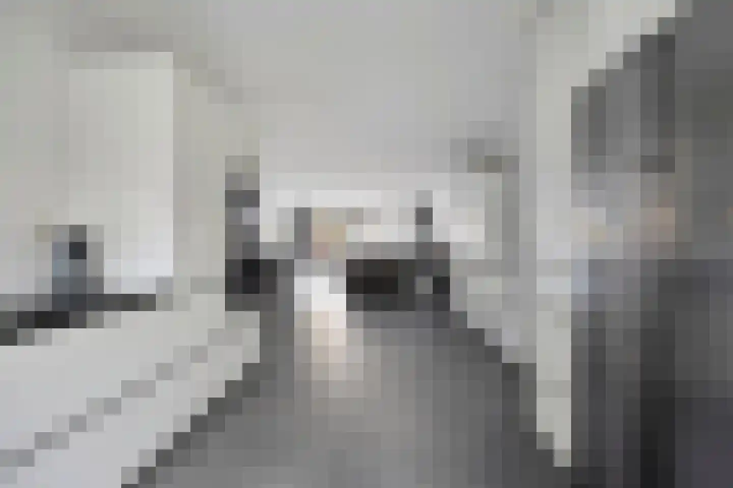 Het Oerd 85 Hoofddorp thumbnail 11