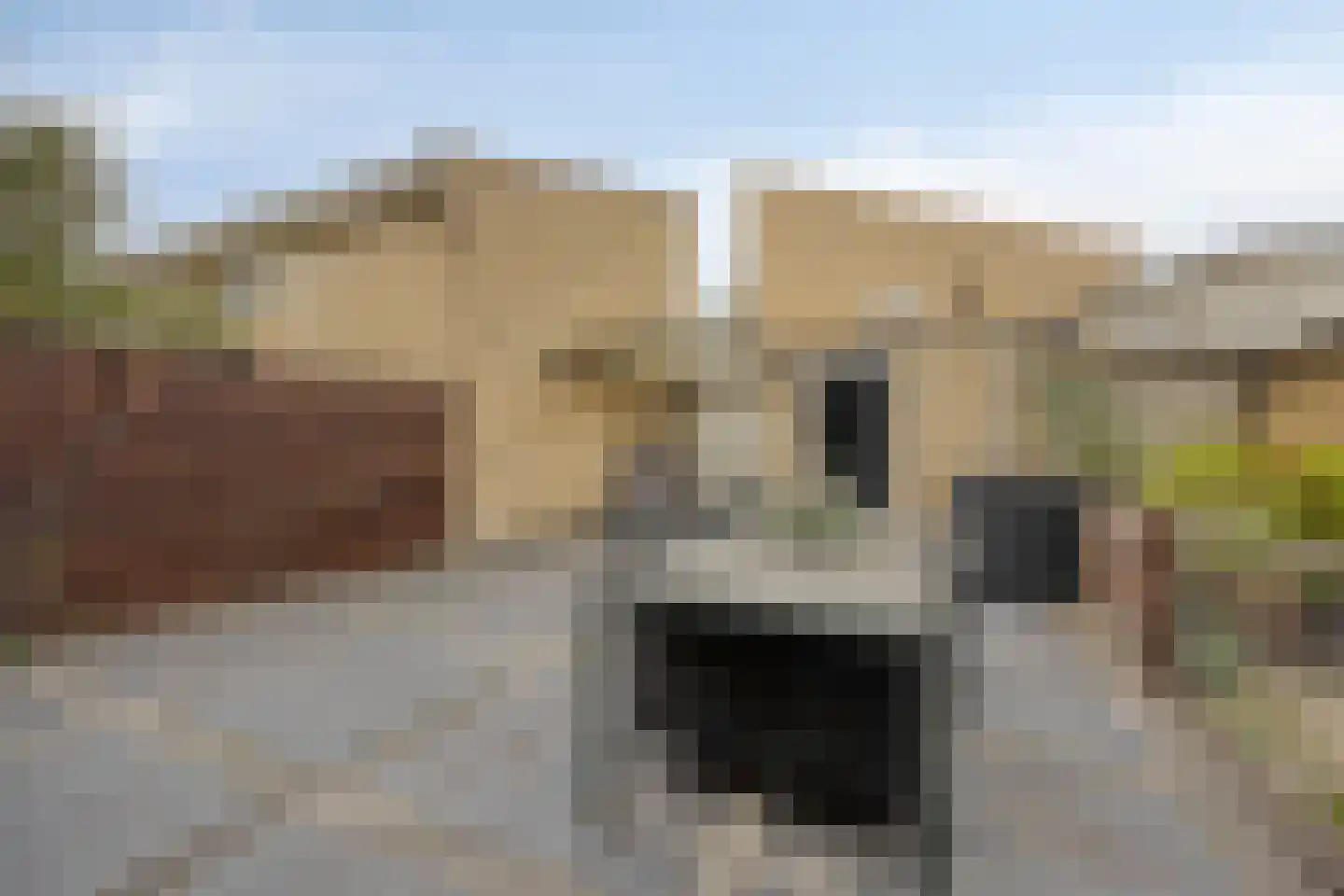 Het Oerd 85 Hoofddorp thumbnail 27
