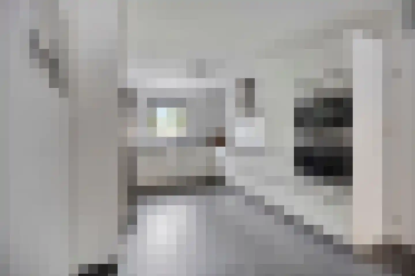 Het Oerd 85 Hoofddorp thumbnail 4
