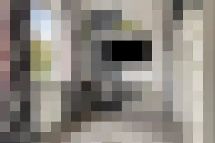 Het Oldehof 5 Appelscha thumbnail 27