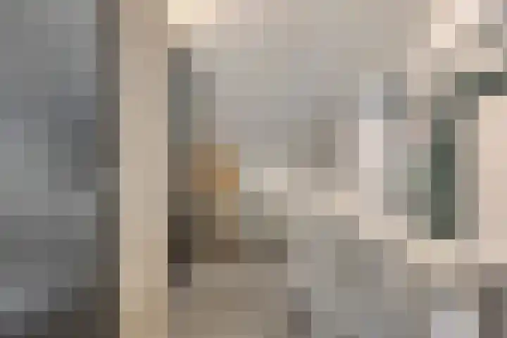 Het Oldehof 5 Appelscha thumbnail 29