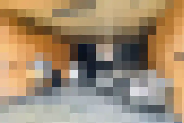 Het Oldehof 5 Appelscha thumbnail 36