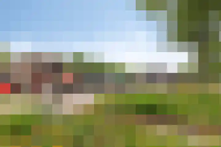 Het Oldehof 5 Appelscha thumbnail 39