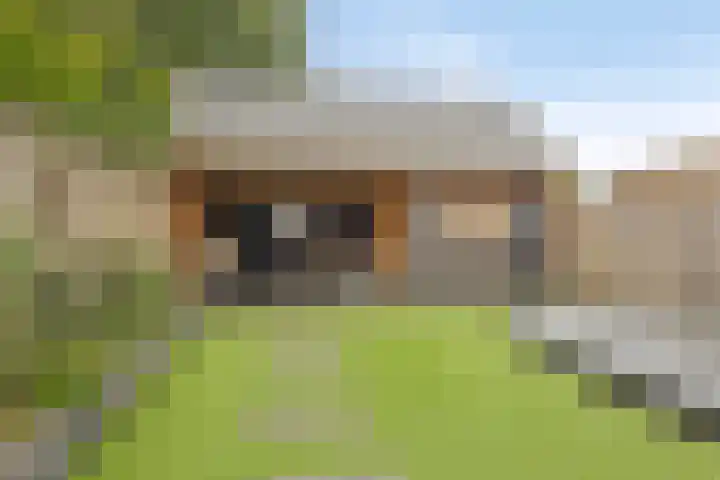 Het Oldehof 5 Appelscha thumbnail 4
