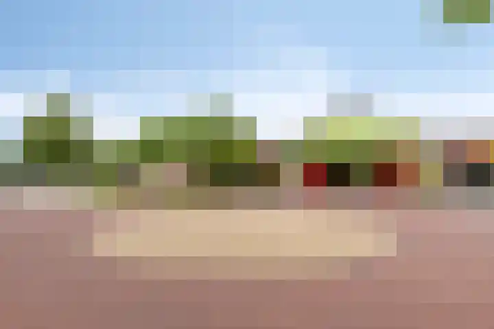 Het Oldehof 5 Appelscha thumbnail 40