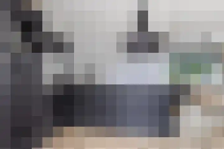 Het Oldehof 7 Appelscha thumbnail 10