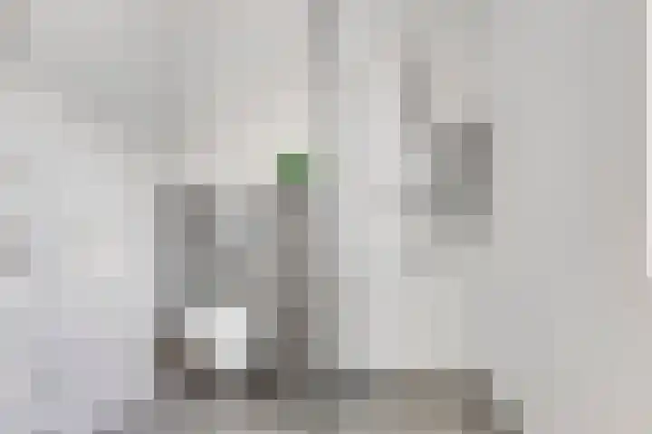 Het Oldehof 7 Appelscha thumbnail 14