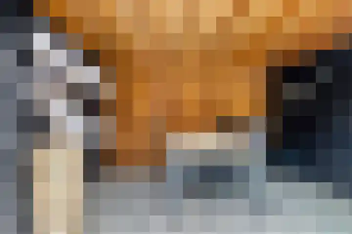 Het Oldehof 7 Appelscha thumbnail 22