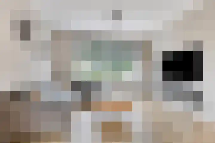 Het Oldehof 7 Appelscha thumbnail 4
