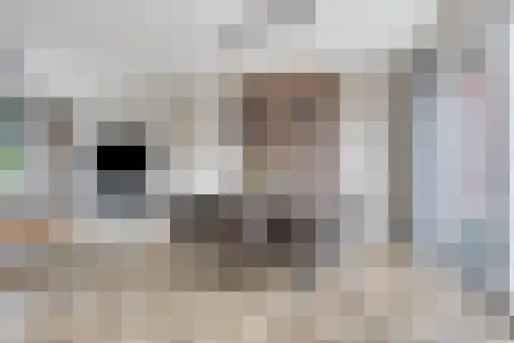 Het Oldehof 7 Appelscha thumbnail 7