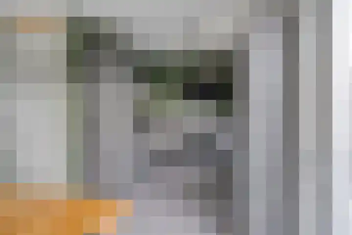 Het Oldehof 9 Appelscha thumbnail 14