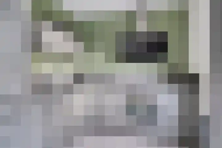 Het Oldehof 9 Appelscha thumbnail 15