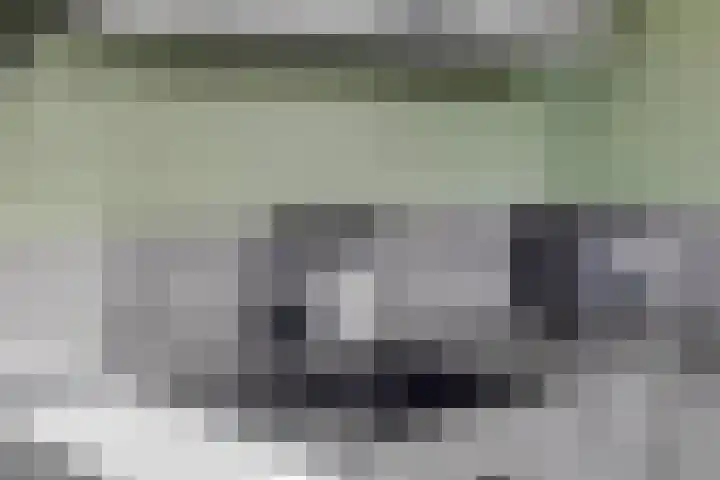 Het Oldehof 9 Appelscha thumbnail 17