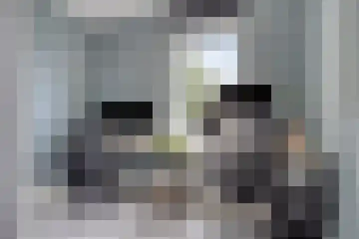 Het Oldehof 9 Appelscha thumbnail 19