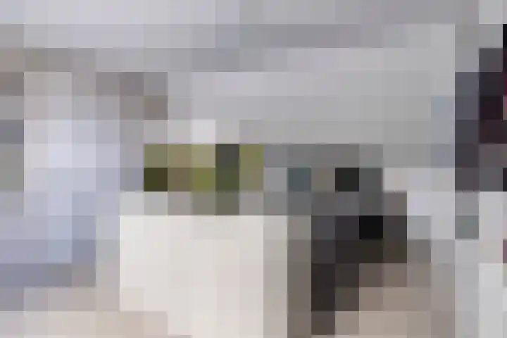 Het Oldehof 9 Appelscha thumbnail 26