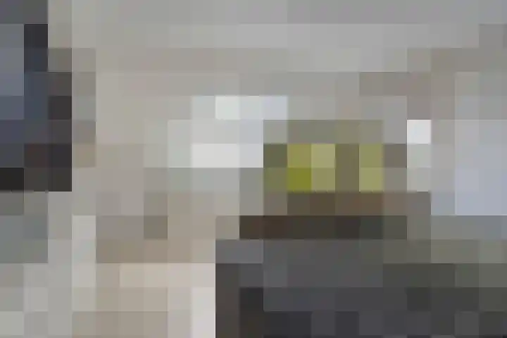 Het Oldehof 9 Appelscha thumbnail 27