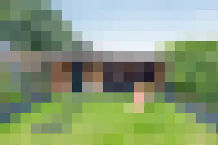 Het Oldehof 9 Appelscha foto 3