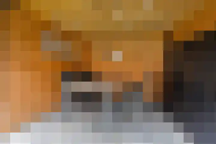 Het Oldehof 9 Appelscha thumbnail 30