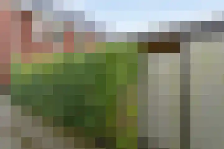 Het Oldehof 9 Appelscha thumbnail 32