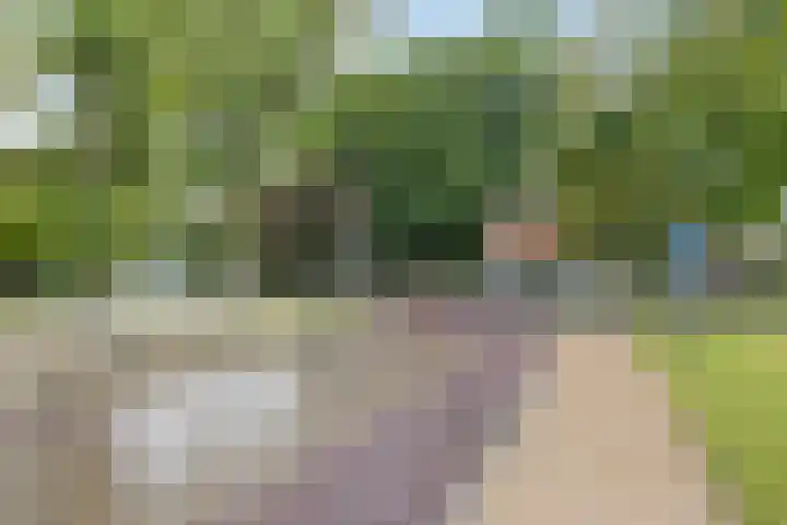 Het Oldehof 9 Appelscha thumbnail 34