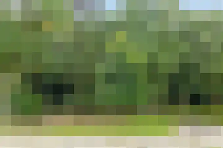 Het Oldehof 9 Appelscha thumbnail 36