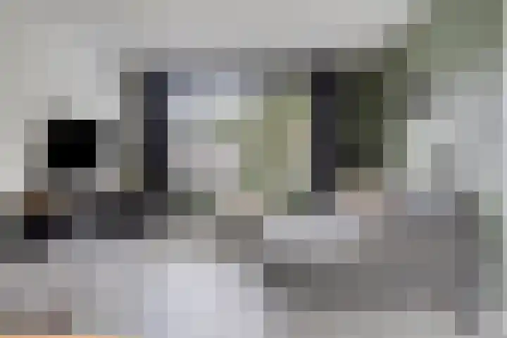 Het Oldehof 9 Appelscha thumbnail 8