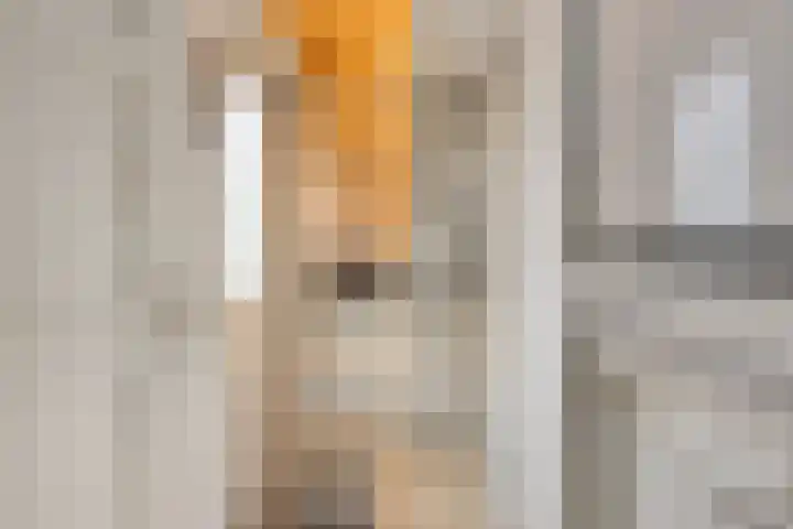 het Ooievaarsnest 16 Tiel thumbnail 10