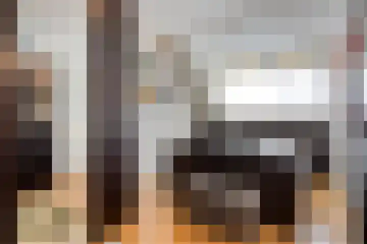 het Ooievaarsnest 16 Tiel thumbnail 12