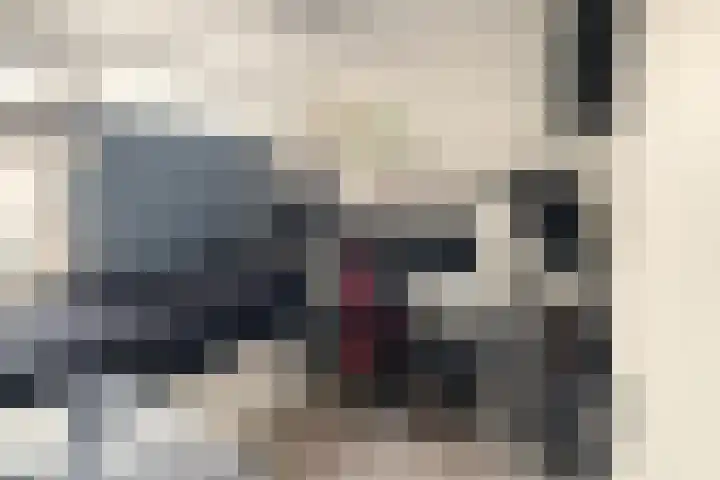 het Ooievaarsnest 16 Tiel thumbnail 15
