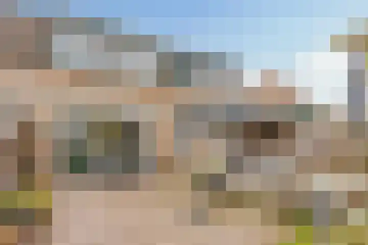 het Ooievaarsnest 16 Tiel thumbnail 20