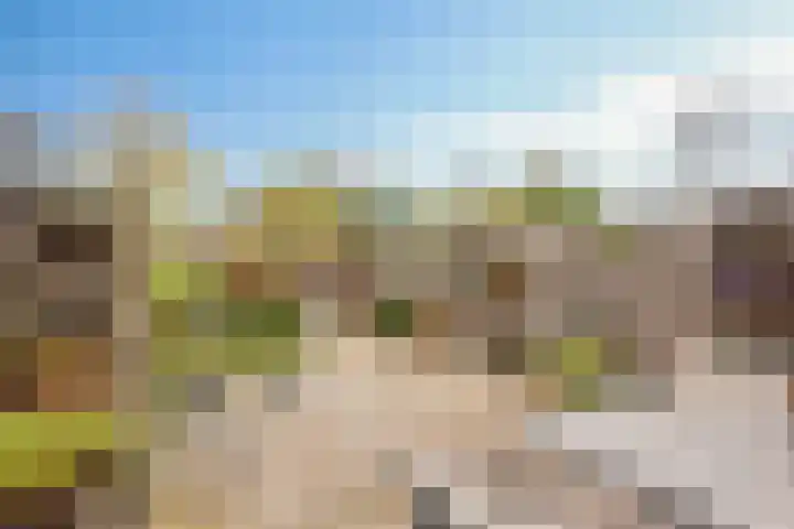 het Ooievaarsnest 16 Tiel thumbnail 21