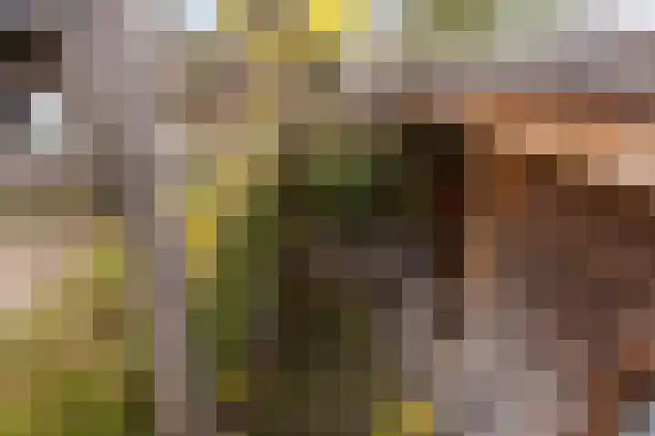 het Ooievaarsnest 16 Tiel thumbnail 22
