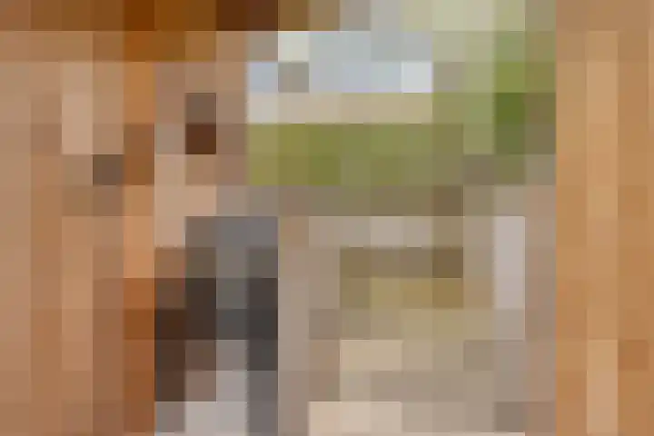 het Ooievaarsnest 16 Tiel thumbnail 23