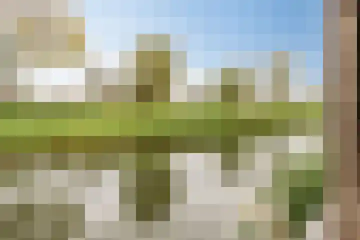 het Ooievaarsnest 16 Tiel thumbnail 26