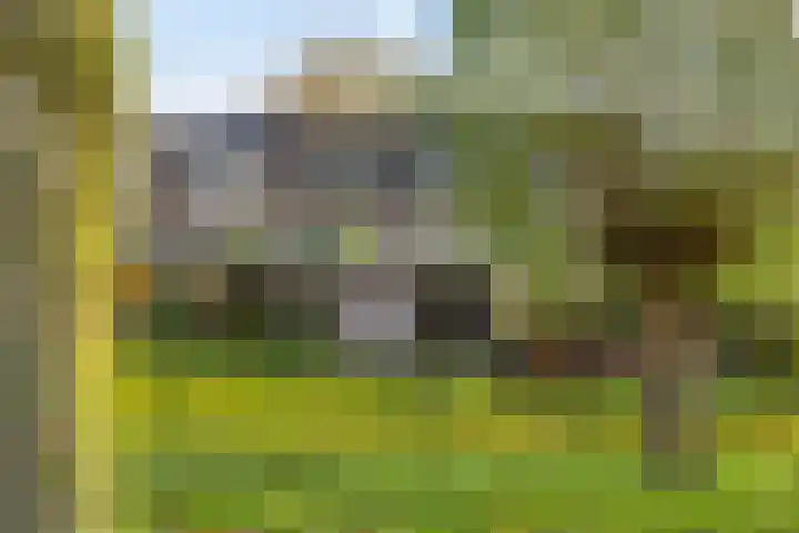 het Ooievaarsnest 16 Tiel thumbnail 28