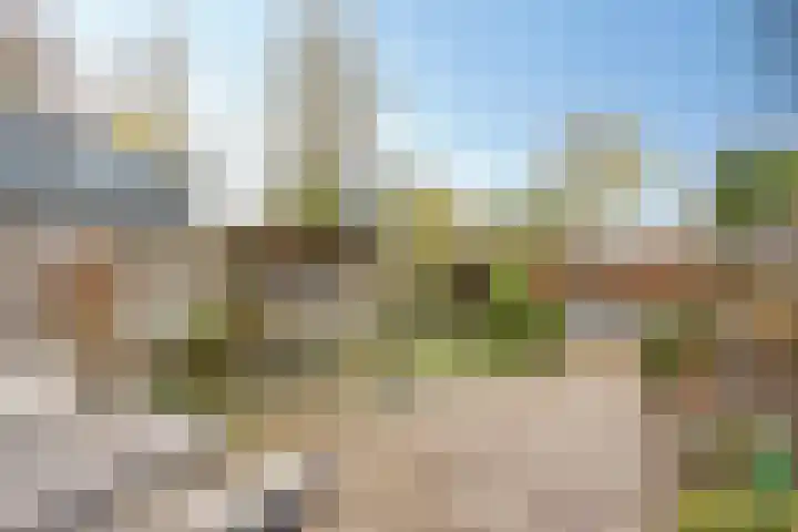 het Ooievaarsnest 16 Tiel foto 3