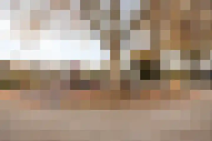 het Ooievaarsnest 16 Tiel thumbnail 30