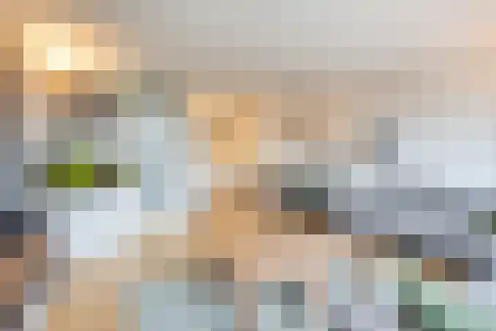 het Ooievaarsnest 16 Tiel thumbnail 6