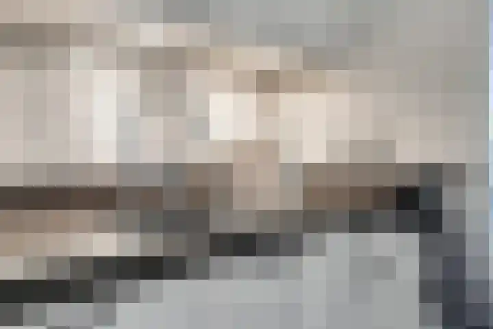 het Ooievaarsnest 16 Tiel thumbnail 9
