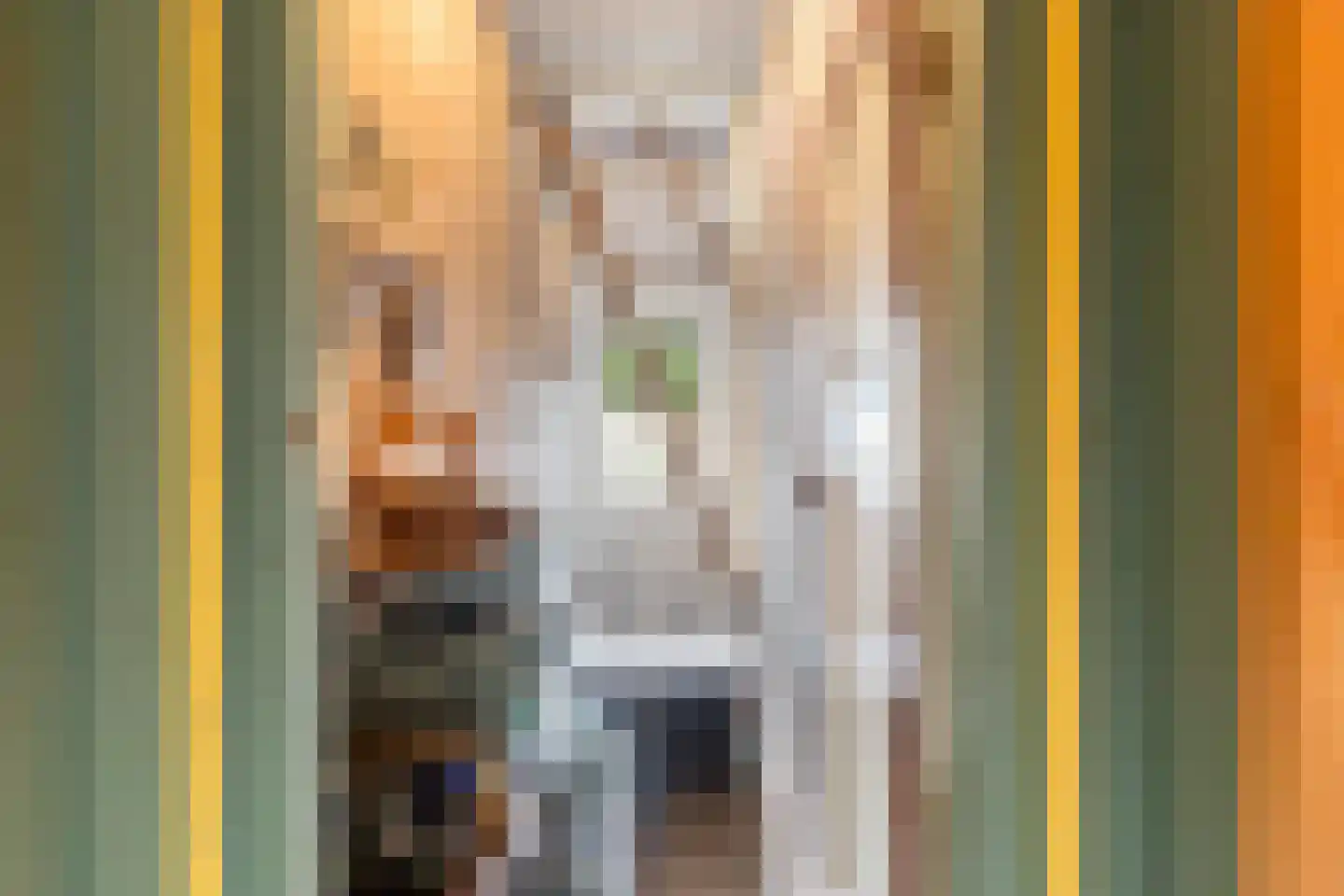Het Oosten 13 Marrum thumbnail 17