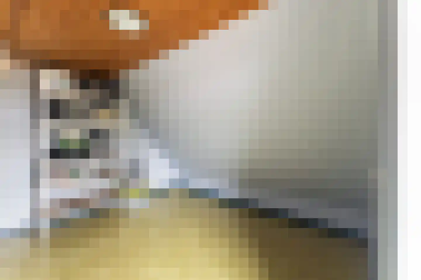 Het Oosten 13 Marrum thumbnail 21