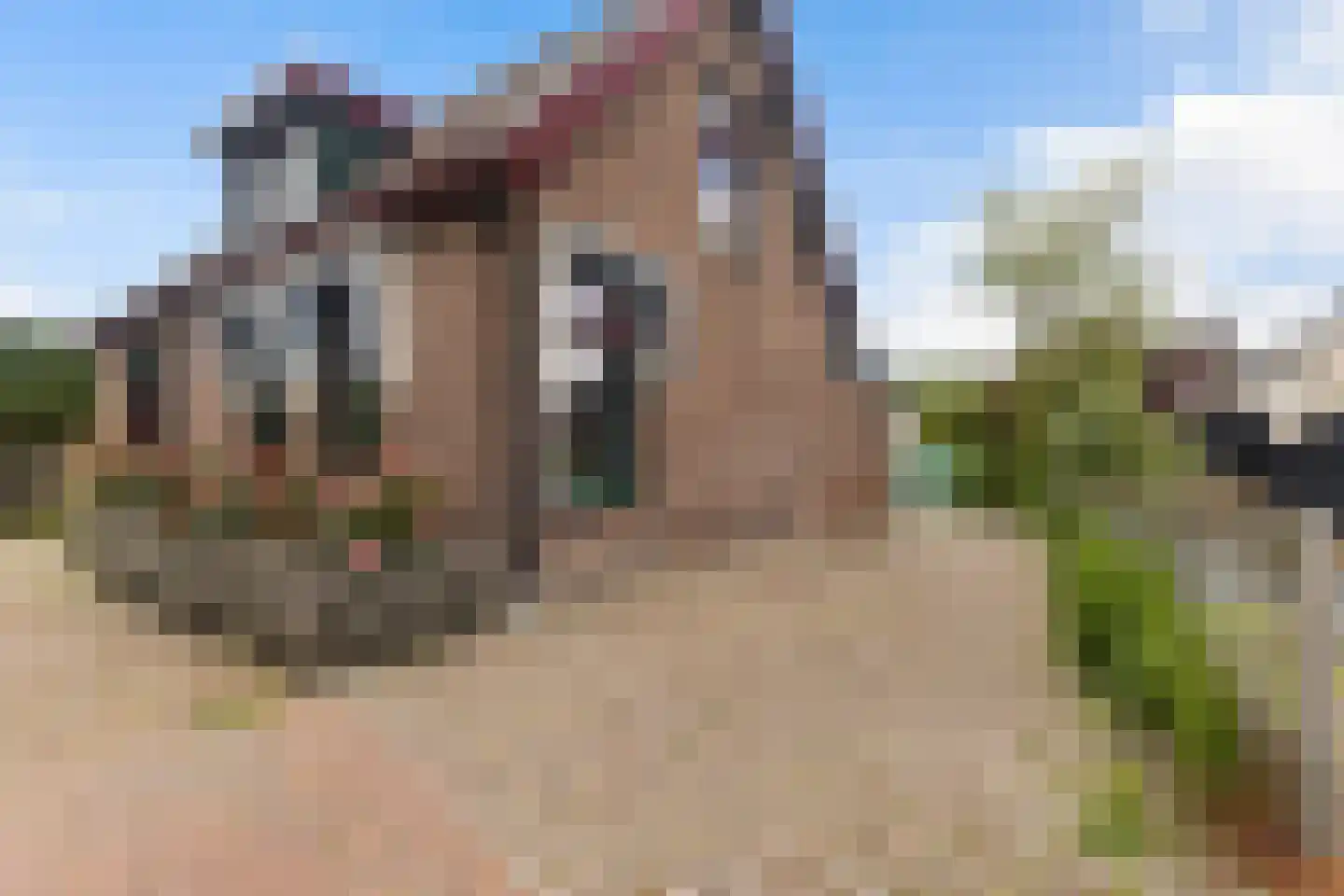 Het Oosten 13 Marrum thumbnail 29