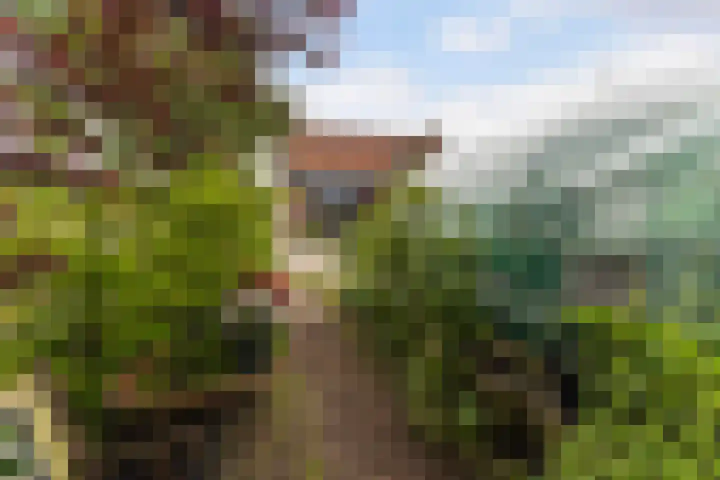 Het Oosten 13 Marrum thumbnail 32