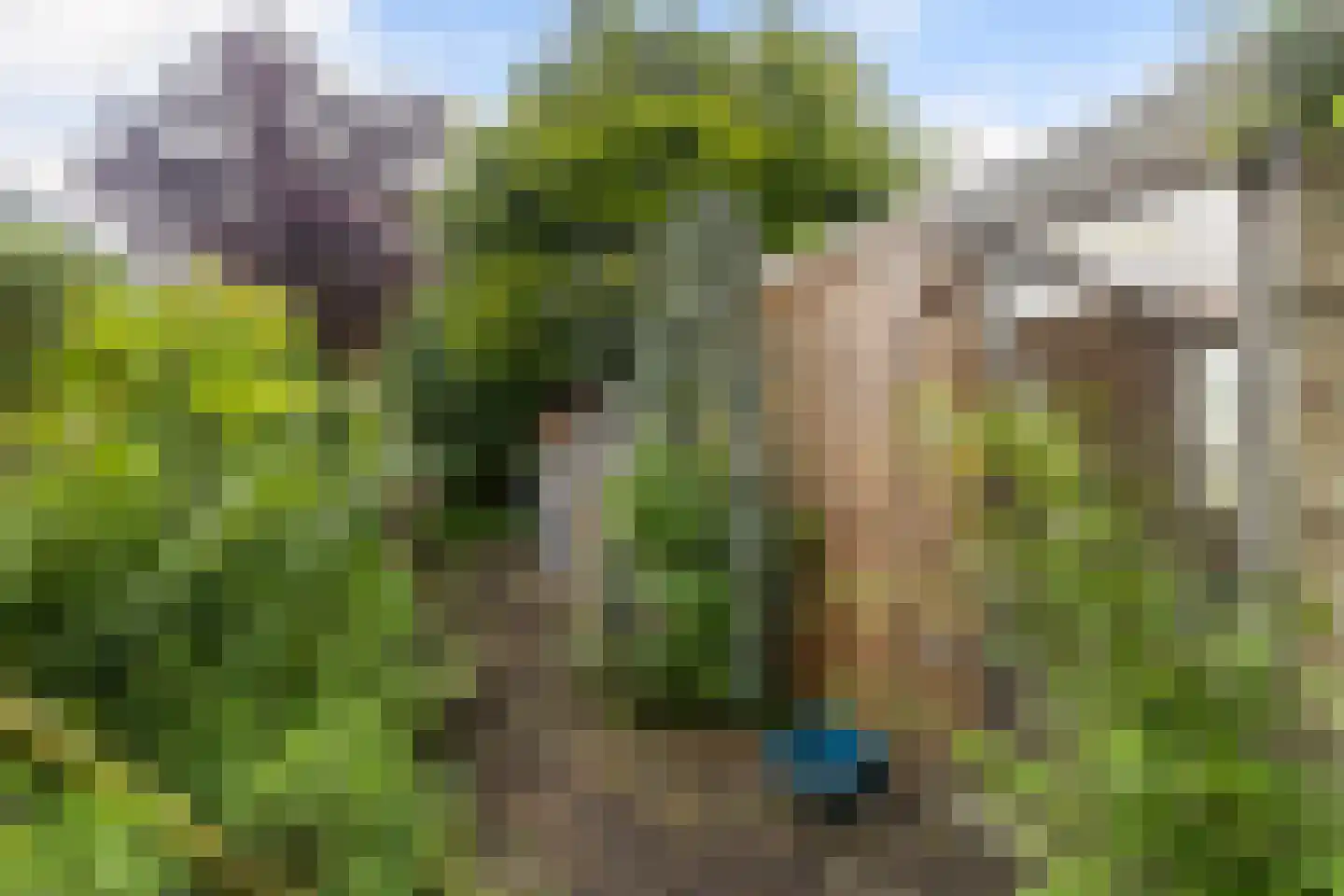 Het Oosten 13 Marrum thumbnail 33