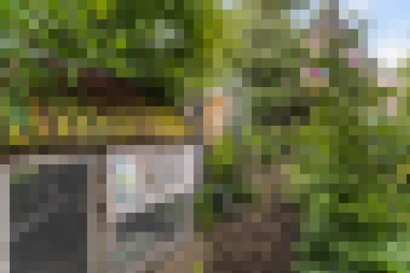 Het Oosten 13 Marrum thumbnail 34