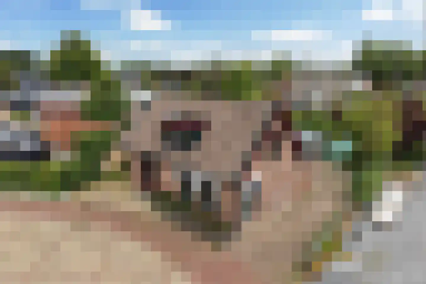 Het Oosten 13 Marrum thumbnail 37